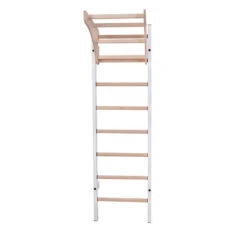 BenchK 211 Wallbars 12 BenchK 211 Wallbars -Fitness Equipment Sales Shop BenchK 211W Wall bar White 2 1