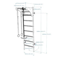 BenchK 211 + A076 Swedish Ladder For Kids With Gymnastic Accessories 9 BenchK 211 + A076 Swedish Ladder For Kids With Gymnastic Accessories -Fitness Equipment Sales Shop BenchK 211WA204 04