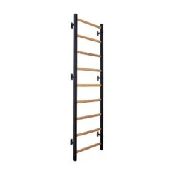 BenchK 700 Wall Bars