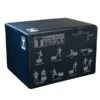Body Solid Body-Solid Tools Soft-Sided Plyo Box 1 Body Solid Body-Solid Tools Soft-Sided Plyo Box -Fitness Equipment Sales Shop Body SolidToolsSoft SidedPlyoBox3DView