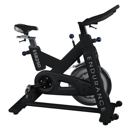 Body Solid Endurance Indoor Exercise Bike ESB250