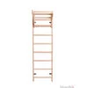 BenchK 111 Swedish Ladder 1 BenchK 111 Swedish Ladder -Fitness Equipment Sales Shop Swedish ladder BenchK 111 1 768x