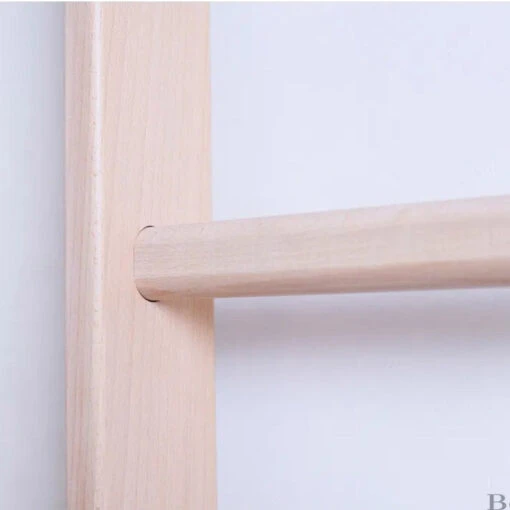 BenchK 111 Swedish Ladder - Image 4