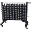 York Barbell Neoprene Hexagon Fitbell Club Pack With Rack 2 York Barbell Neoprene Hexagon Fitbell Club Pack With Rack -Fitness Equipment Sales Shop YorkBarbellNeopreneHexagonFitbellClubPackwithRack3DView