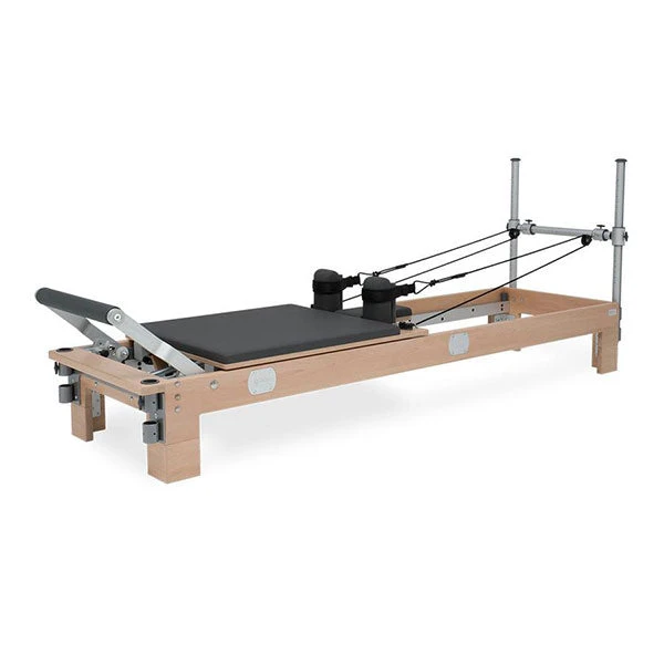 BASI Systems Reformer 3 BASI Systems Reformer