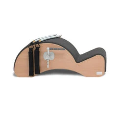 BASI Systems Spine Corrector With F2