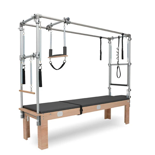 BASI Systems Trapeze Table 3 BASI Systems Trapeze Table