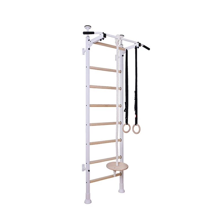 BenchK Series 5 521W+A204 Wall Bars With Gymnastics Accessories 3 BenchK Series 5 521W+A204 Wall Bars With Gymnastics Accessories