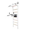 BenchK Series 5 522W Wall Bars With Dip Bar 2 BenchK Series 5 522W Wall Bars With Dip Bar -Fitness Equipment Sales Shop benchk 522w 1