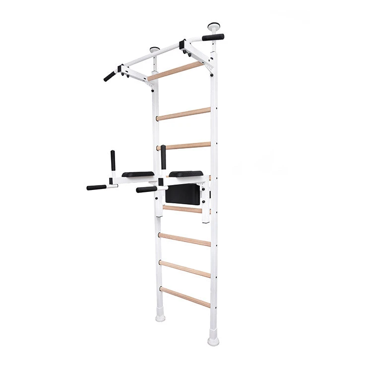 BenchK Series 5 522W Wall Bars With Dip Bar 3 BenchK Series 5 522W Wall Bars With Dip Bar