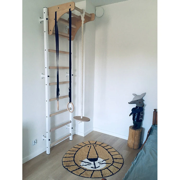 BenchK Series 7 711W+A204 Wall Bars With Gymnastics Accessories 5 BenchK Series 7 711W+A204 Wall Bars With Gymnastics Accessories - Image 3