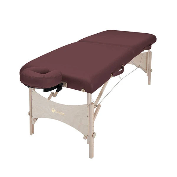 Earthlite Harmony DX Portable Massage Table Package 6 Earthlite Harmony DX Portable Massage Table Package - Image 4