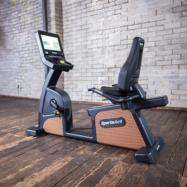 SportsArt C576R Status Eco-Natural Recumbent Bike 4 SportsArt C576R Status Eco-Natural Recumbent Bike - Image 2