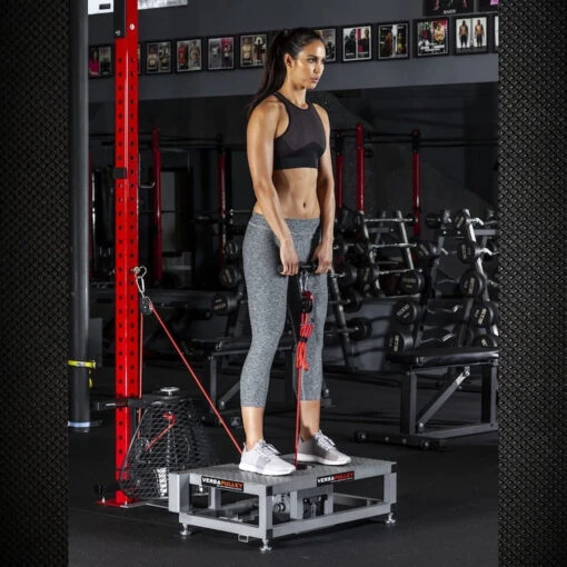 VersaClimber Wall Mount PVP VersaPulley - Image 10